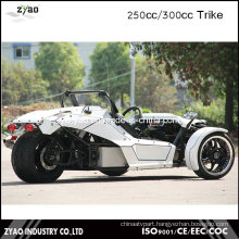 EEC 3 Wheel Motorcycle 250cc Racing Trike